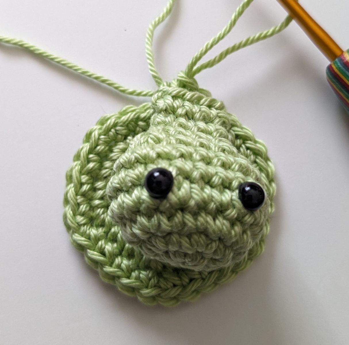Blog-Inhaltsbild für 'Amigurumi Meeresschildkröte Schildkröte Tommy ohne Vernähen'